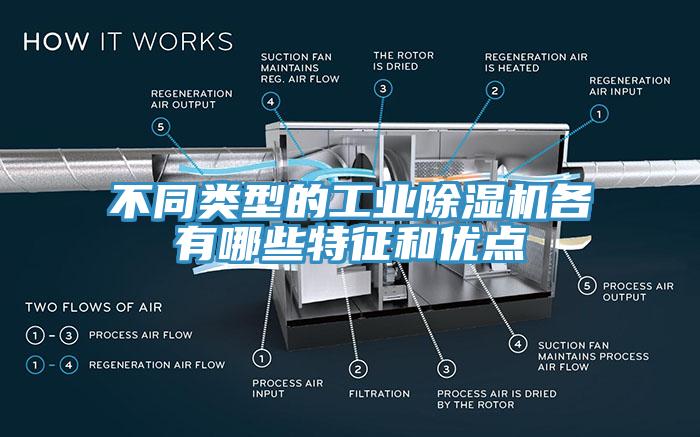 不同类型的工业杏仁直播app最新版下载各有哪些特征和优点