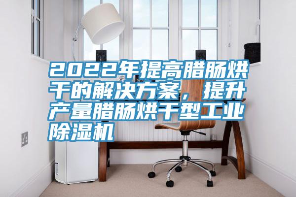 2022年提高腊肠烘干的解决方案，提升产量腊肠烘干型工业杏仁直播app最新版下载