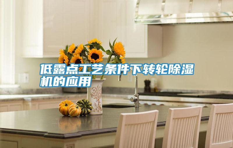 低露点工艺条件下转轮杏仁直播app最新版下载的应用