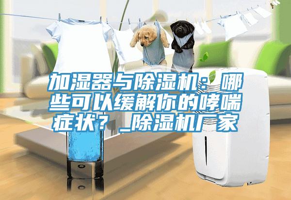 加湿器与杏仁直播app最新版下载：哪些可以缓解你的哮喘症状？_杏仁直播app最新版下载厂家