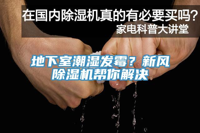 地下室潮湿发霉？新风杏仁直播app最新版下载帮你解决