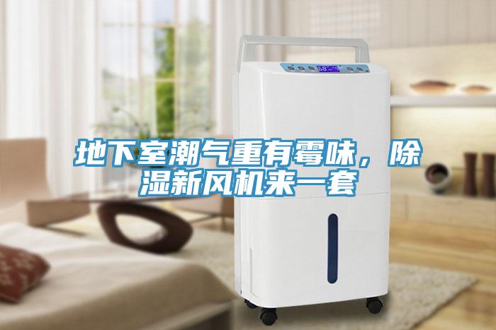 地下室潮气重有霉味，除湿新风机来一套