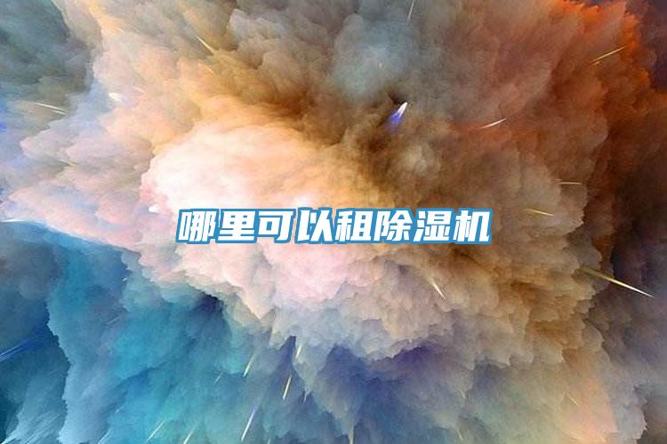 哪里可以租杏仁直播app最新版下载