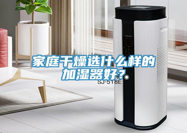 家庭干燥选什么样的加湿器好？