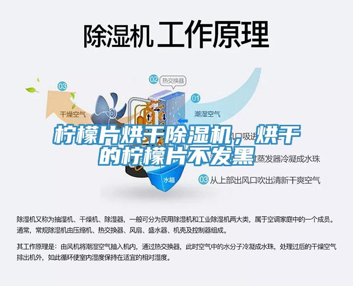 柠檬片烘干杏仁直播app最新版下载，烘干的柠檬片不发黑