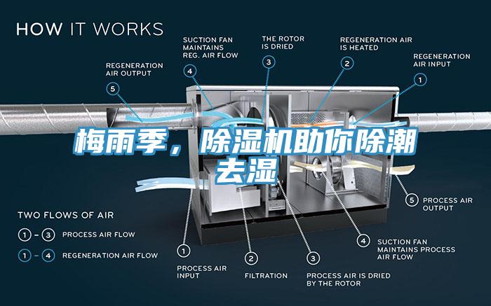 梅雨季，杏仁直播app最新版下载助你除潮去湿