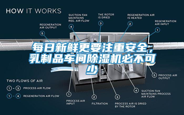 每日新鲜更要注重安全，乳制品车间杏仁直播app最新版下载必不可少