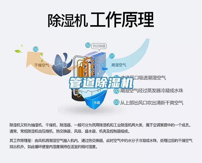 管道杏仁直播app最新版下载