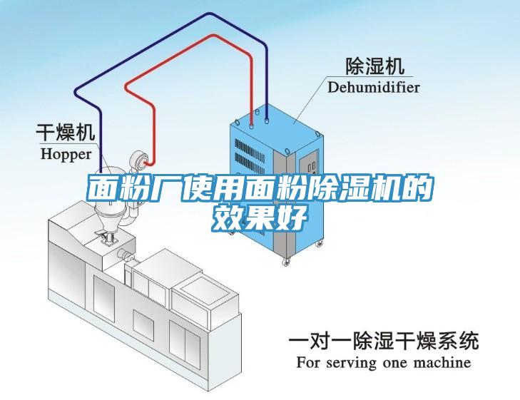 面粉厂使用面粉杏仁直播app最新版下载的效果好