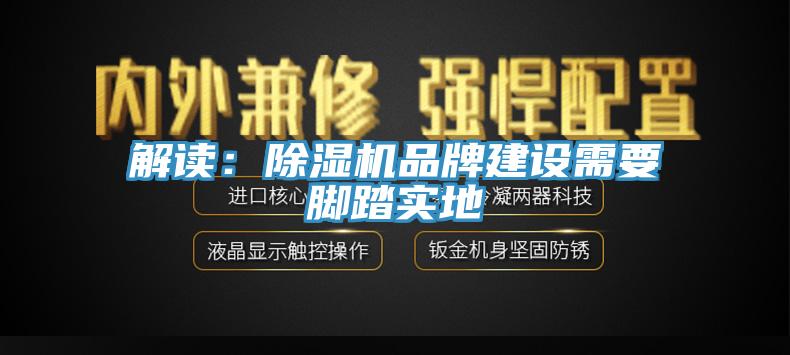 解读：杏仁直播app最新版下载品牌建设需要脚踏实地