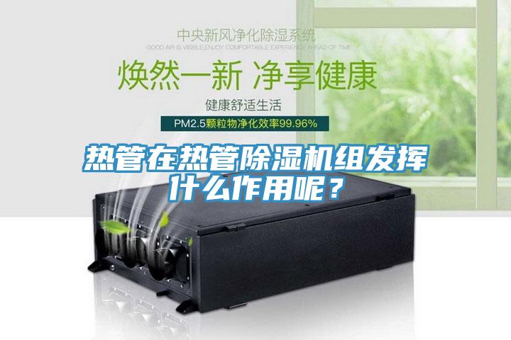 热管在热管杏仁直播app最新版下载组发挥什么作用呢？