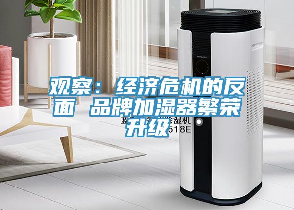 观察：经济危机的反面 品牌加湿器繁荣升级