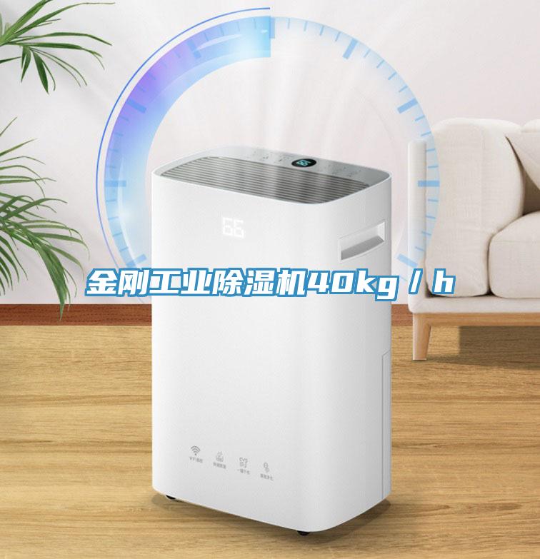 金刚工业杏仁直播app最新版下载40kg／h