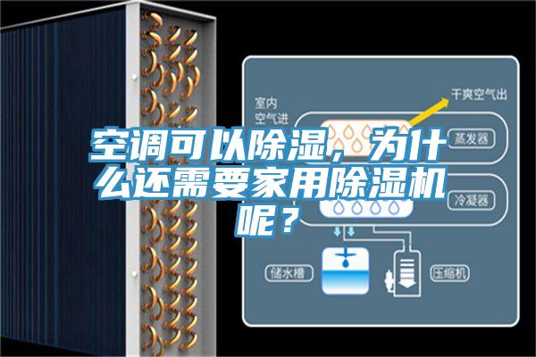 空调可以除湿，为什么还需要家用杏仁直播app最新版下载呢？