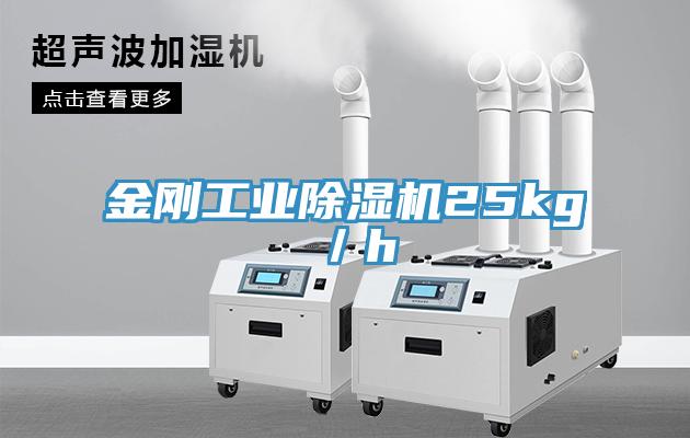 金刚工业杏仁直播app最新版下载25kg／h