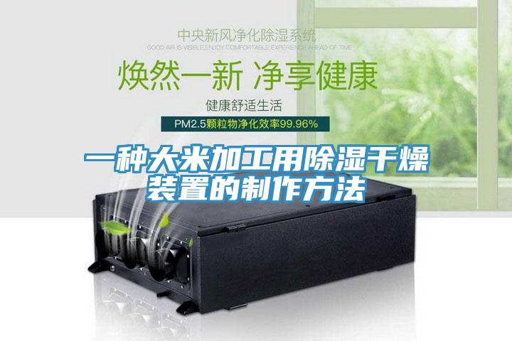 一种大米加工用除湿干燥装置的制作方法