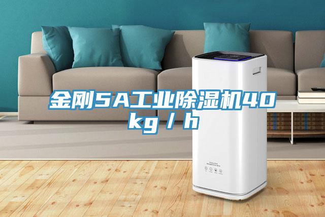 金刚5A工业杏仁直播app最新版下载40kg／h