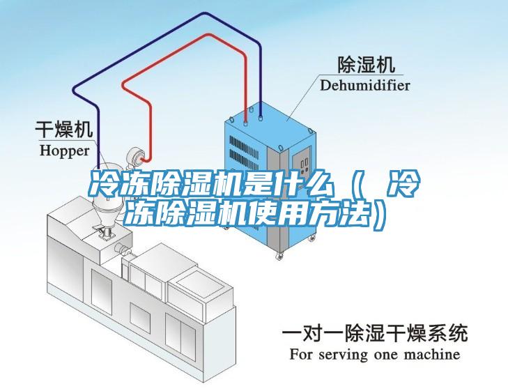 冷冻杏仁直播app最新版下载是什么（ 冷冻杏仁直播app最新版下载使用方法）