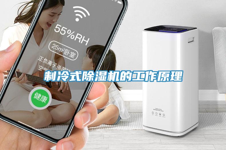 制冷式杏仁直播app最新版下载的工作原理