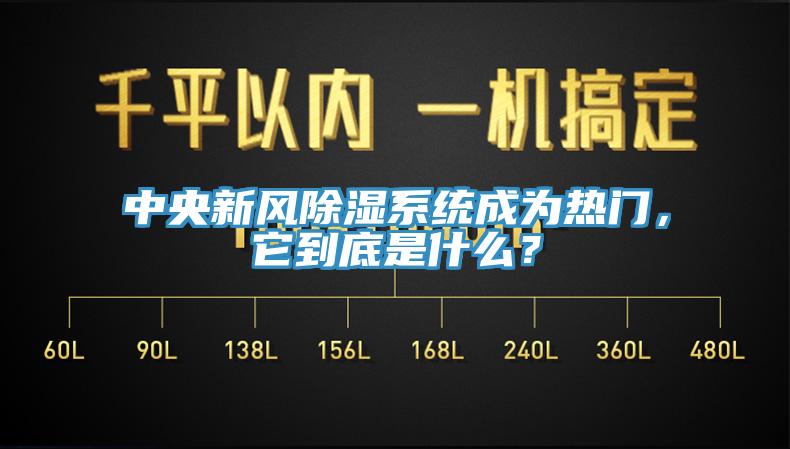 中央新风除湿系统成为热门，它到底是什么？