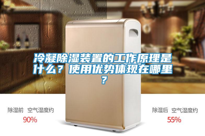 冷凝除湿装置的工作原理是什么？使用优势体现在哪里？