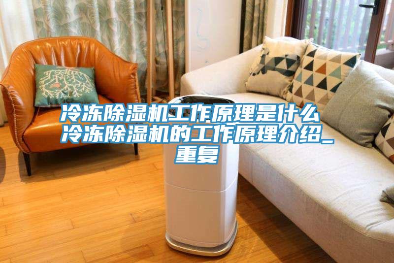 冷冻杏仁直播app最新版下载工作原理是什么 冷冻杏仁直播app最新版下载的工作原理介绍_重复