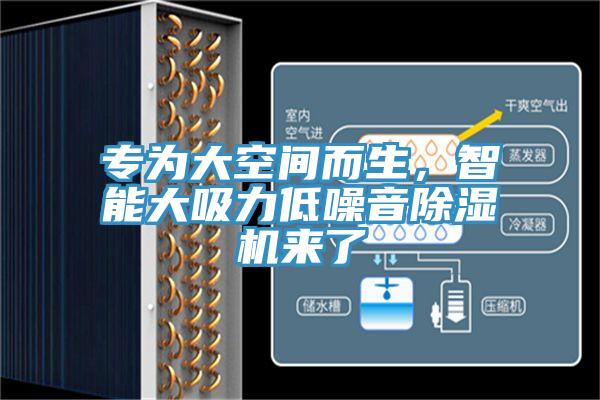 专为大空间而生，智能大吸力低噪音杏仁直播app最新版下载来了