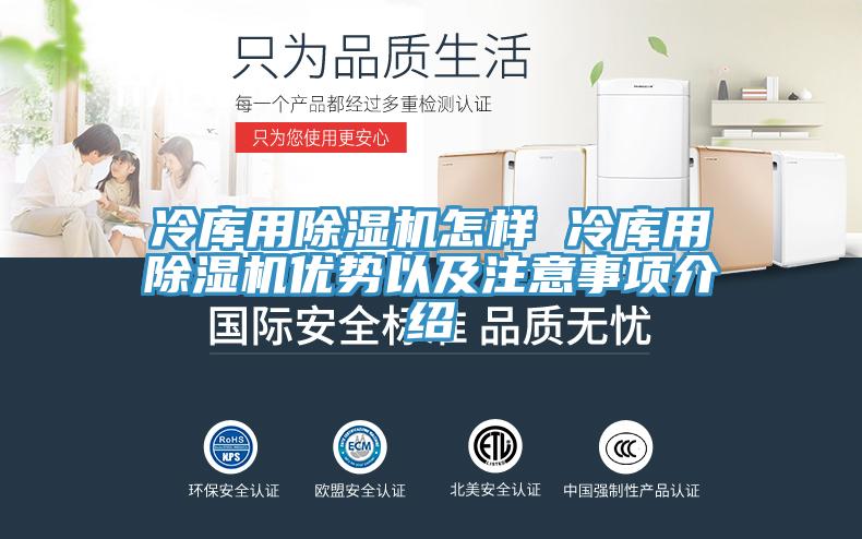 冷库用杏仁直播app最新版下载怎样 冷库用杏仁直播app最新版下载优势以及注意事项介绍