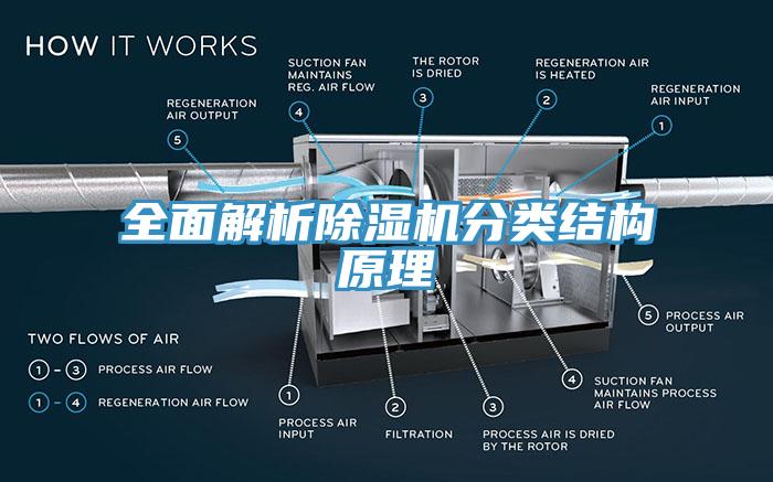 全面解析杏仁直播app最新版下载分类结构原理