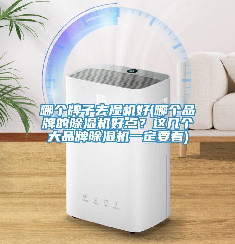 哪个牌子去湿机好(哪个品牌的杏仁直播app最新版下载好点？这几个大品牌杏仁直播app最新版下载一定要看)