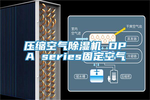 压缩空气杏仁直播app最新版下载 DPA series固定空气