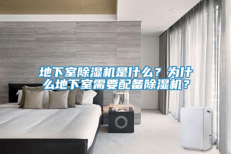 地下室杏仁直播app最新版下载是什么？为什么地下室需要配备杏仁直播app最新版下载？