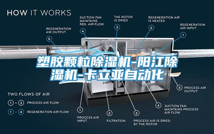 塑胶颗粒杏仁直播app最新版下载-阳江杏仁直播app最新版下载-卡立亚自动化