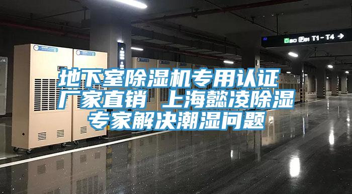 地下室杏仁直播app最新版下载专用认证 厂家直销 上海懿凌除湿专家解决潮湿问题