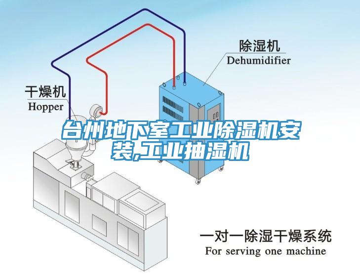 台州地下室工业杏仁直播app最新版下载安装,工业抽湿机