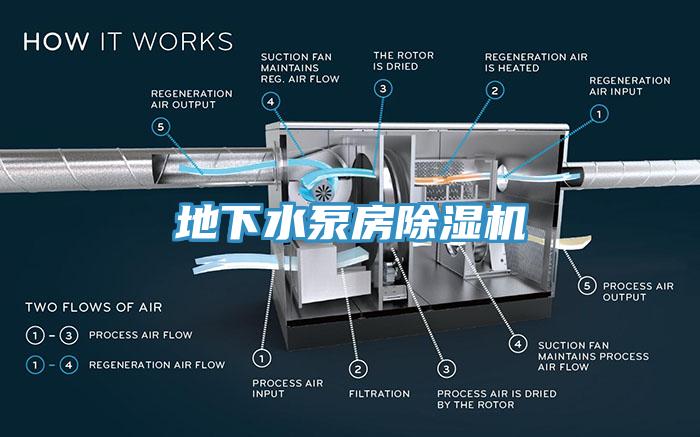 地下水泵房杏仁直播app最新版下载