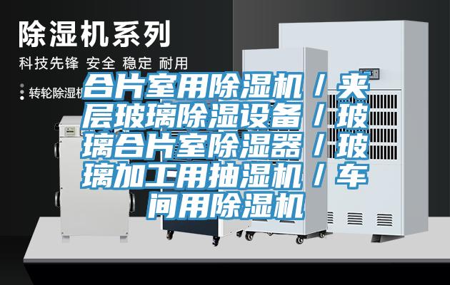 合片室用杏仁直播app最新版下载／夹层玻璃除湿设备／玻璃合片室除湿器／玻璃加工用抽湿机／车间用杏仁直播app最新版下载