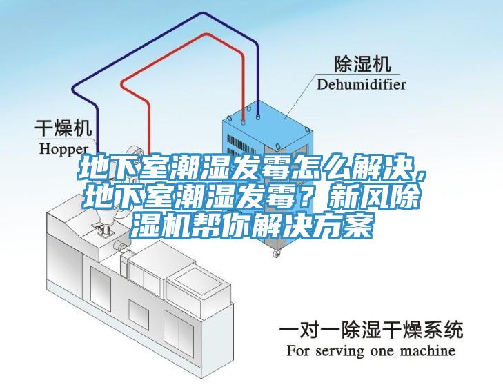 地下室潮湿发霉怎么解决，地下室潮湿发霉？新风杏仁直播app最新版下载帮你解决方案