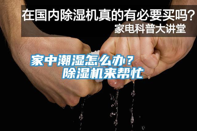 家中潮湿怎么办？    杏仁直播app最新版下载来帮忙