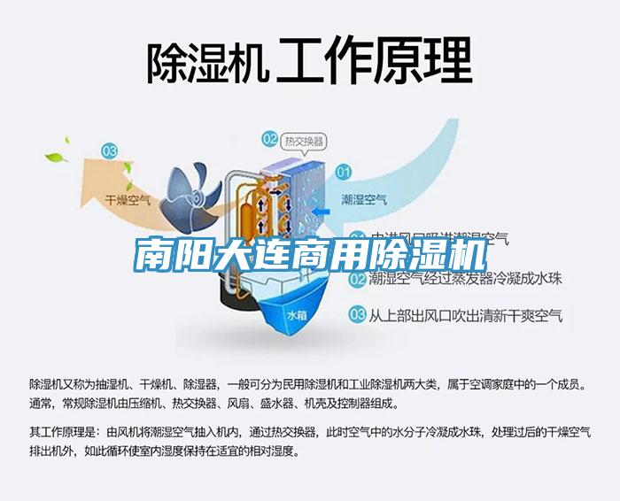 南阳大连商用杏仁直播app最新版下载