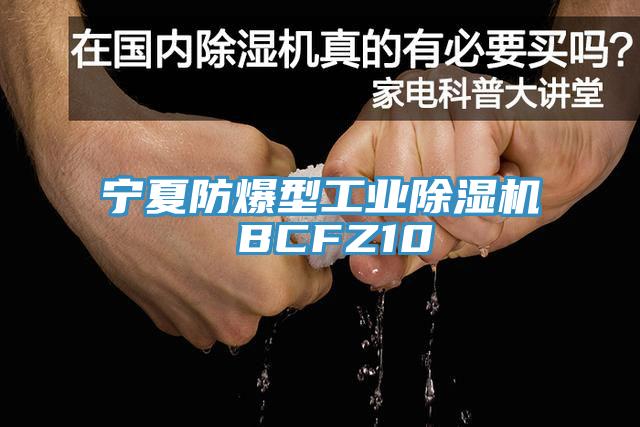 宁夏防爆型工业杏仁直播app最新版下载 BCFZ10