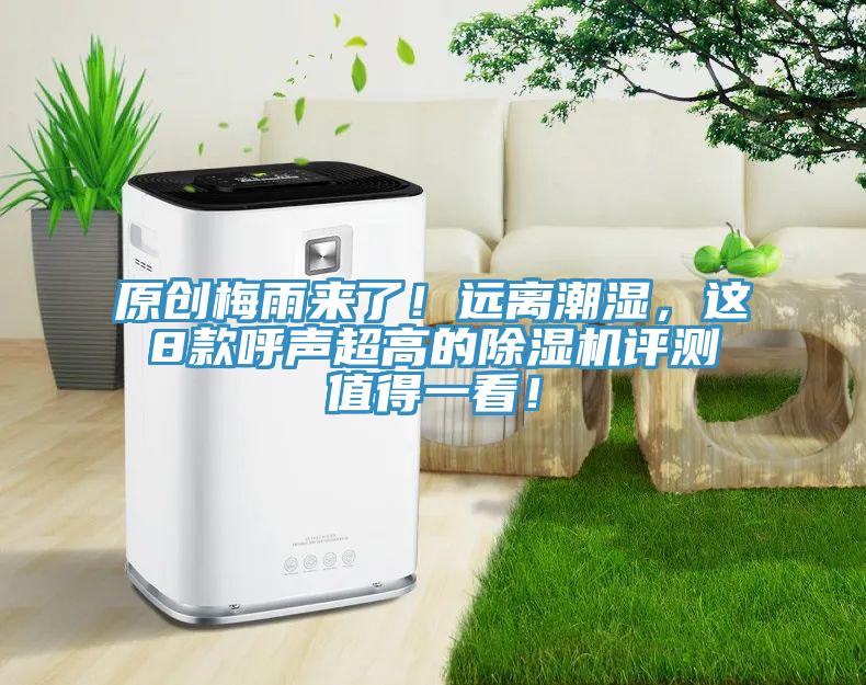 原创梅雨来了！远离潮湿，这8款呼声超高的杏仁直播app最新版下载评测值得一看！