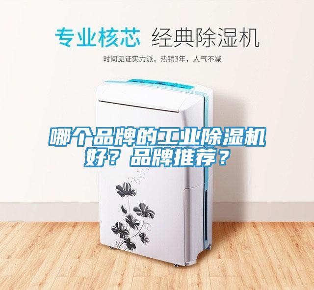 哪个品牌的工业杏仁直播app最新版下载好？品牌推荐？