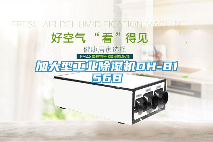 加大型工业杏仁直播app最新版下载DH-8156B