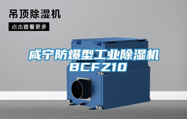 咸宁防爆型工业杏仁直播app最新版下载 BCFZ10