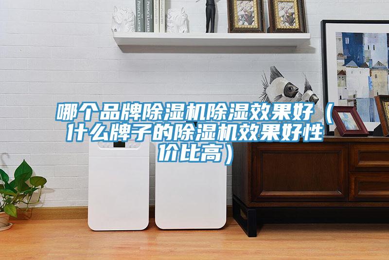 哪个品牌杏仁直播app最新版下载除湿效果好（什么牌子的杏仁直播app最新版下载效果好性价比高）