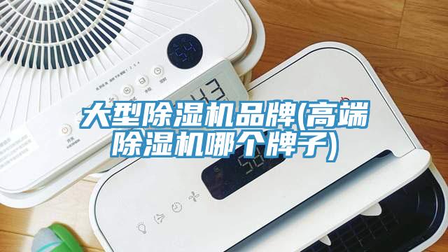 大型杏仁直播app最新版下载品牌(高端杏仁直播app最新版下载哪个牌子)