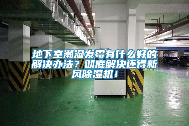 地下室潮湿发霉有什么好的解决办法？彻底解决还得新风杏仁直播app最新版下载！