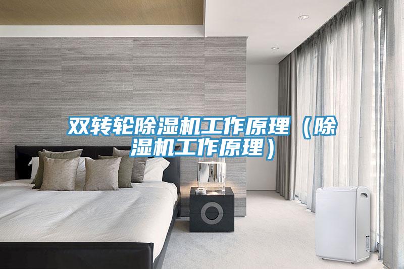 双转轮杏仁直播app最新版下载工作原理（杏仁直播app最新版下载工作原理）