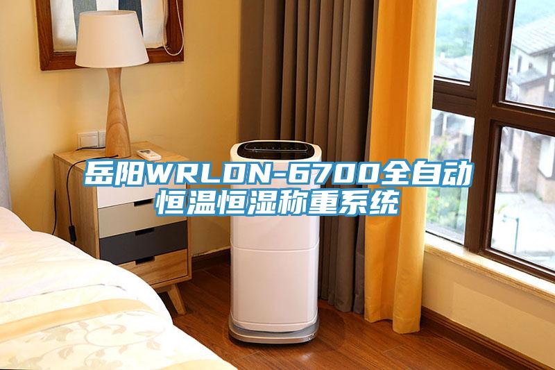 岳阳WRLDN-6700全自动恒温恒湿称重系统